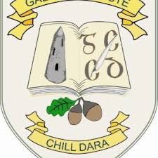 Gael Cholaiste Chill Dara V Neck School Jumper