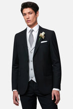Load image into Gallery viewer, Benetti - Albert Mix and Match Suit - Silver - AVAILABLE IN STORE ONLY
