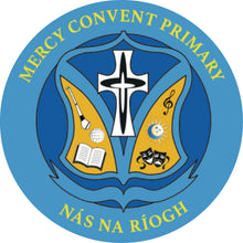 Load image into Gallery viewer, Mercy Convent Naas Crested V Neck School Jumper - Navy
