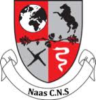 Naas CNS School Tracksuit