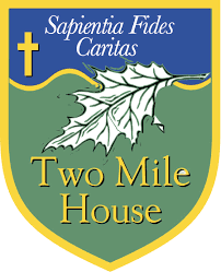 Two Mile House NS - School Tie - BLUE