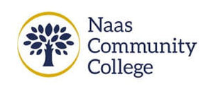 Naas Community College V Neck School Jumper